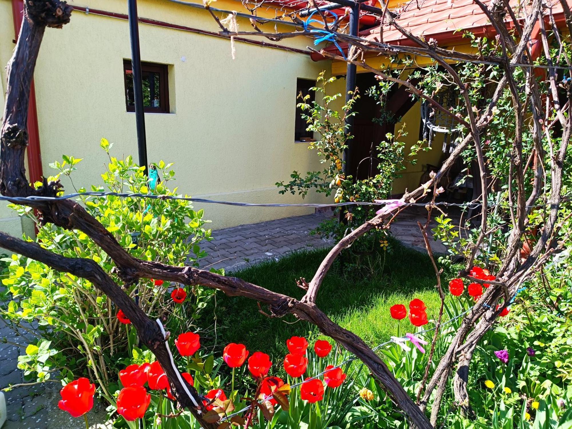 Ferienwohnung Casa Bunicilor Cisnădie Exterior foto